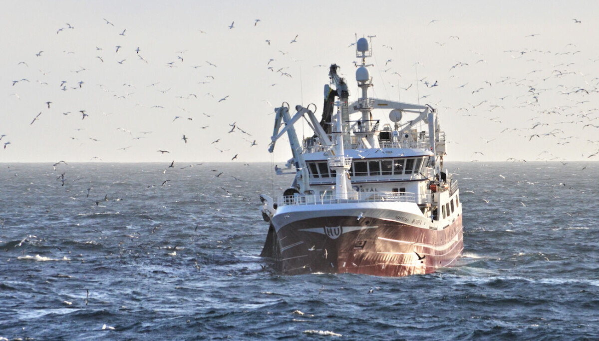 Fiskebåt anmoder om å åpne for makrellfiske innenfor fjordlinjene