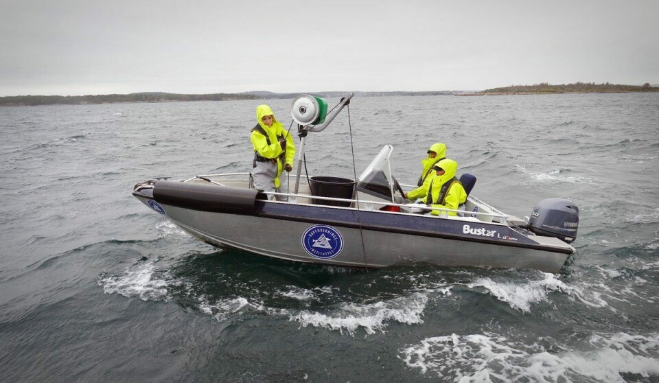 Langvarig årlig overvåking av hummerbestandene i fredningsområder og kontrollområder har medført over 10 000 teinetrekk i all slags vær. Foto Havforskningsinstituttet Langvarig årlig overvåking av hummerbestandene i fredningsområder og kontrollområder har medført over 10 000 teinetrekk i all slags vær. Foto Havforskningsinstituttet
