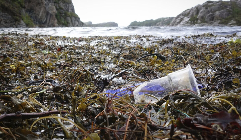 Store mengder plast samler seg i havet og langs kysten. Dette illustrasjonsbildet er fra Sotra, Vestland.