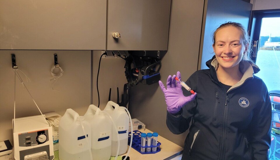 Marinbiolog Ingrid Bruvold leter etter haispor i vannet.