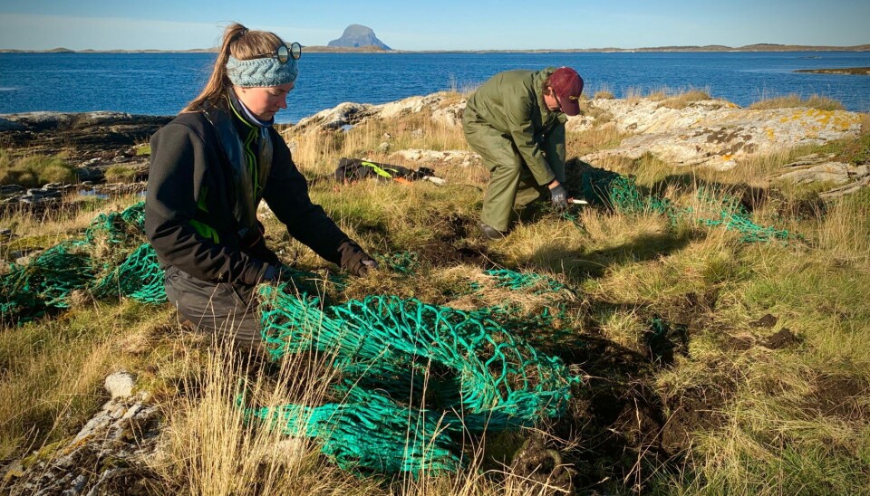 Fra en ryddeaksjon i Lurøy, med Lovund i bakgrunnen.