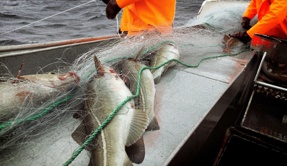 Fiskere under en viss alder kan nå få torskekvote på et såkalt ungdomstillegg.