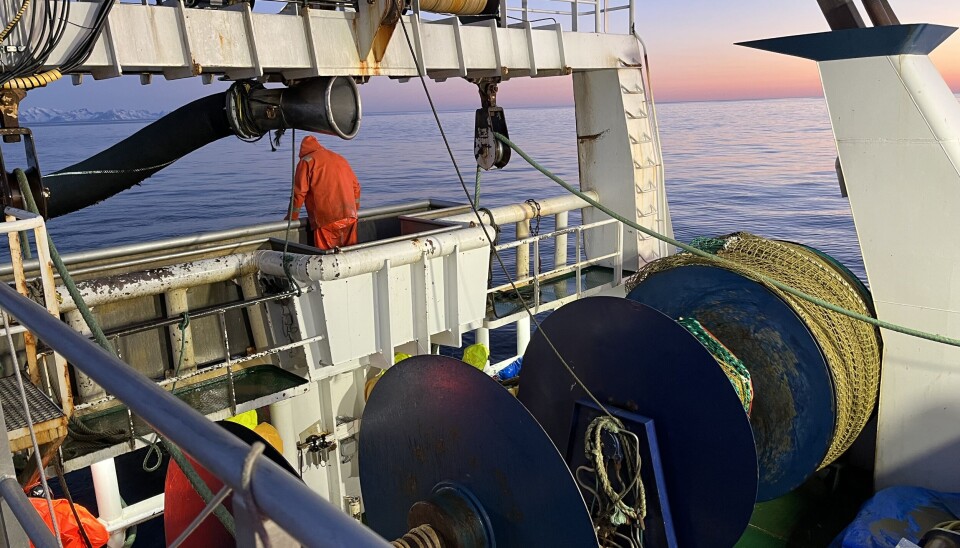 Fiskeflåten har gjennomgått en betydelig strukturering. Det har resultert i færre, men større og mer avanserte fartøy.