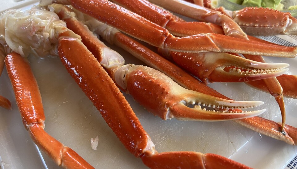 Sørkoreanerne spiser stadig mer levende snøkrabbe.