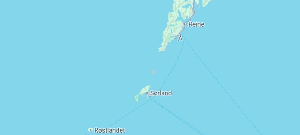 Alt gikk så fort. Måtte hoppe på havet.