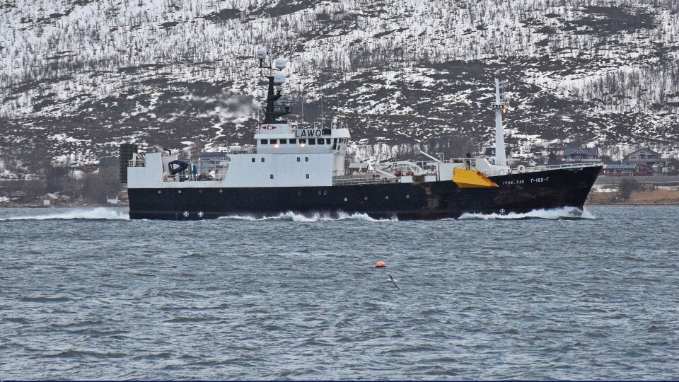 Tromsbas har fisket mest snøkrabbe. Til nå har fartøyet levert over 1100 tonn, - og det seiler nå nordover for å fiske mer snøkrabbe. Foto Frode Adolfsen