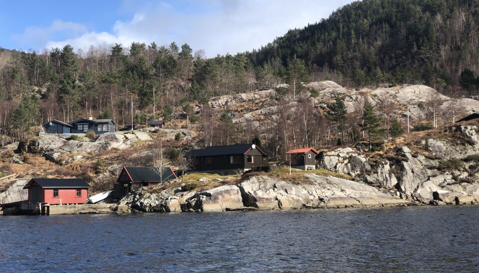 Høsten er starten på våroppblonstringen.