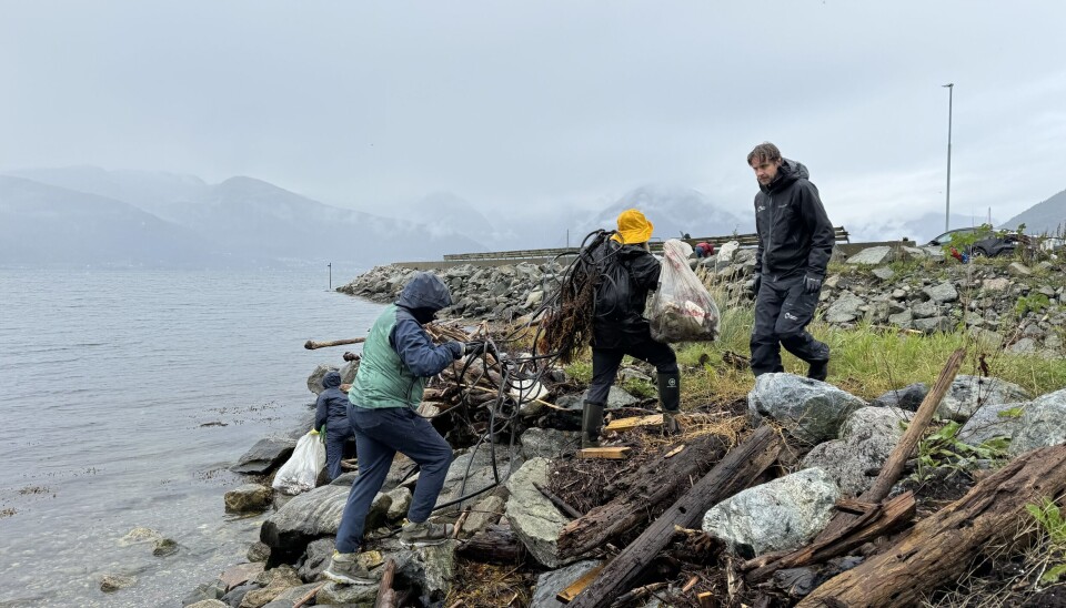 Ryddeinnsats i strandlinjen.