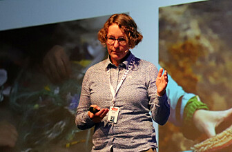 Kjersti Eline T. Busch.