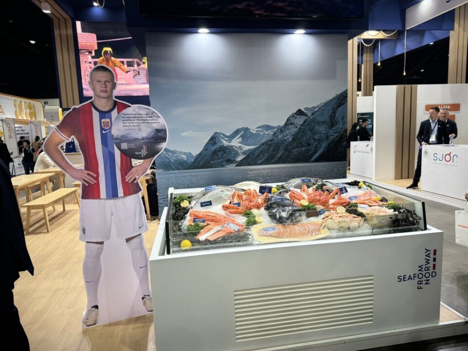 Hittil i år har Norge eksportert sjømat for 124,7 milliarder kroner. Illustrasjonsfoto fra den norske fellesstanden på årets Thaifex.