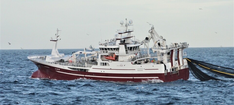 Hummerfiske Rogn Alt du trenger å vite om hummerfiske i Norge: Regler og ...