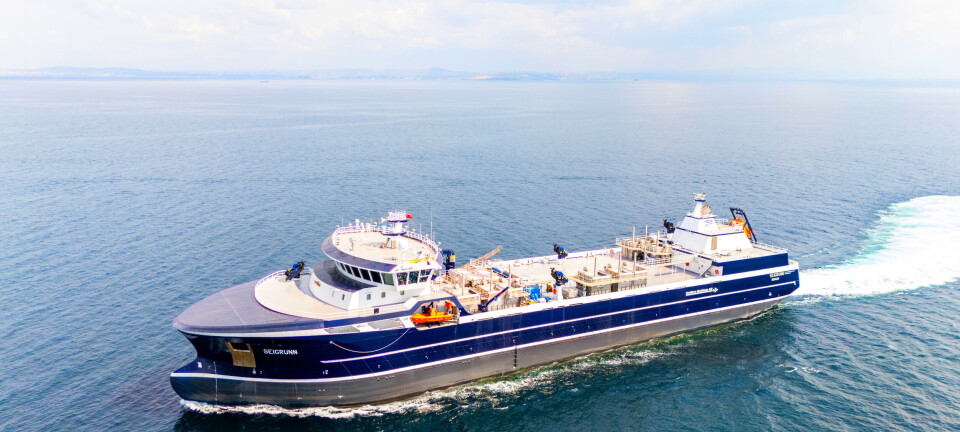 MS «Seigrunn»