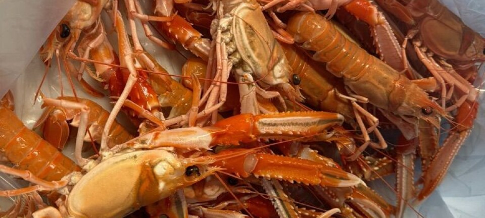 Ny maskin revolusjonerer krepsebehandling