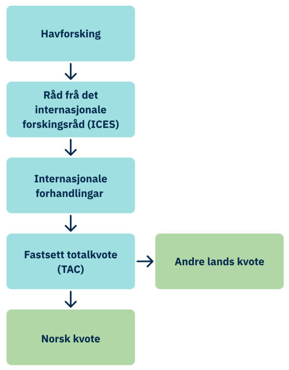 Det internasjonale systemet for kvotefastsetjing.