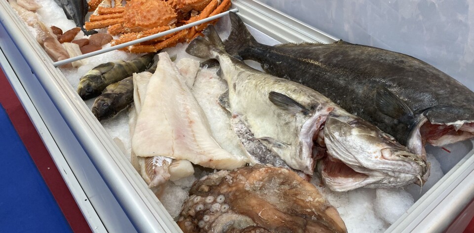 Rekordår for villfanget sjømat i nord