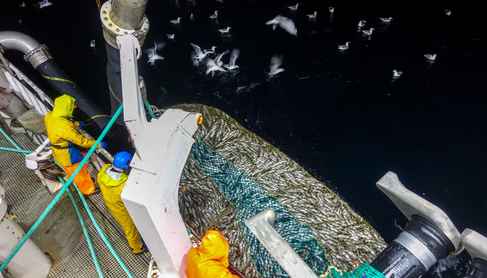 Verdiskapingen i fiskeflåten er på 22 milliarder kroner.
