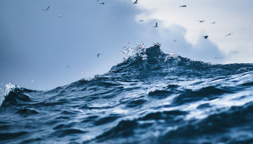 Er havet kommet i overgangsalderen? Det er blitt surere, varmere og inneholder mindre oksygen enn tidligere.