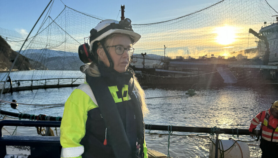 Senioringeniør Birthe Lill Eskevik i Sjøfartsdirektoratet.