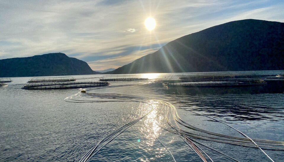 Energibehovet for strøm til sjømatnæringa forventes å øke fra dagens 2,1 TWh til minst 7,7 THw innen 2040.