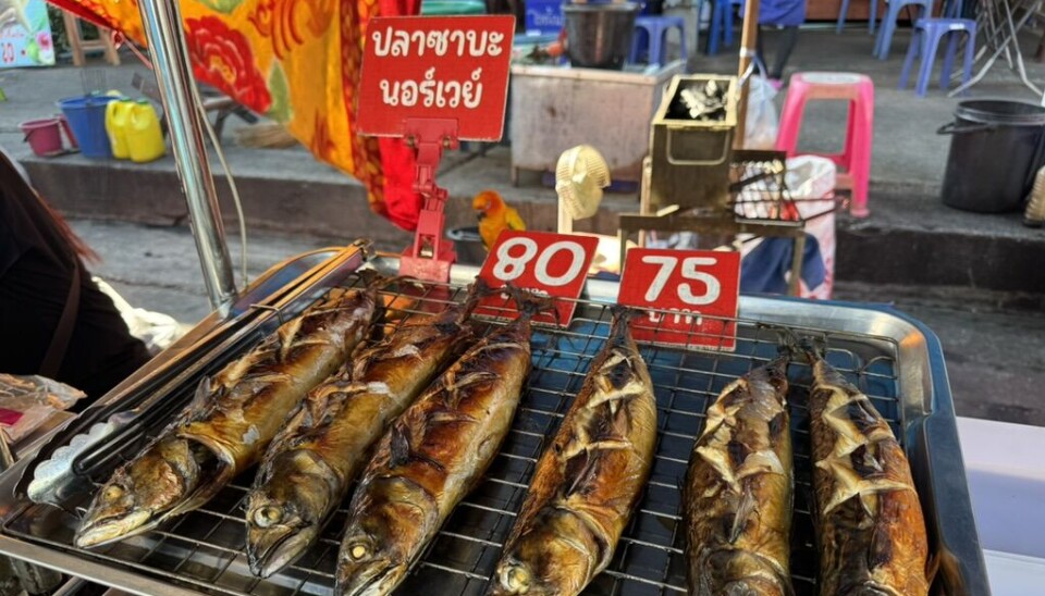 Stor flott, grillet makrell fra Norge på markedet i Cha-Am i Thailand til rundt 25 kroner per fisk.