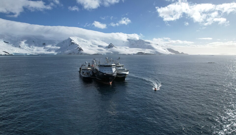 Aker QRILL utvider krillfiskeflåten med en fjerde båt.
