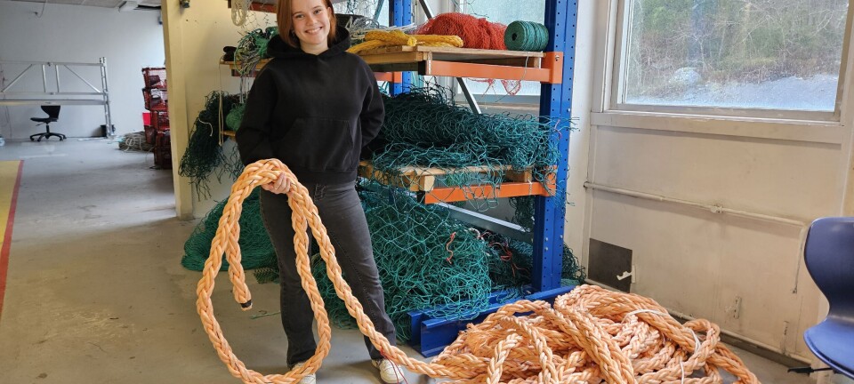 Kvinner på fremmarsj i fiskeryrket