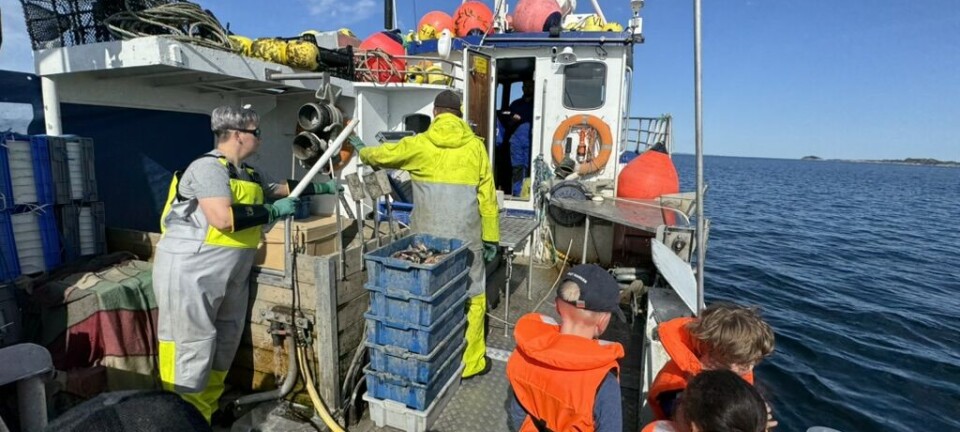 Stabilt antall norske fiskefartøy