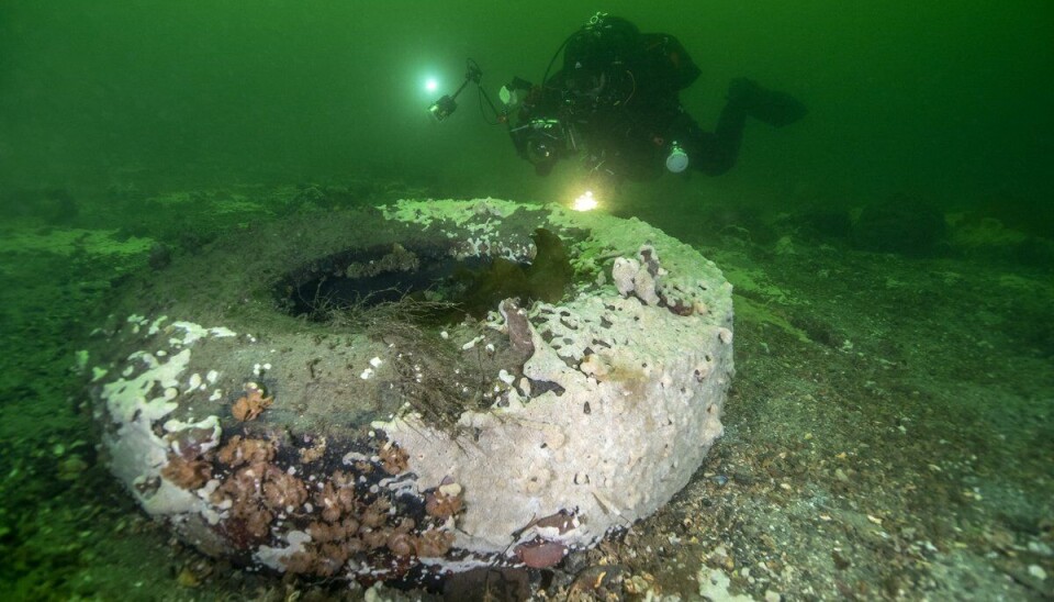 Havnespy ble først oppdaget i Norge da det ble funnet ved Engøy i Stavanger i desember 2020.
