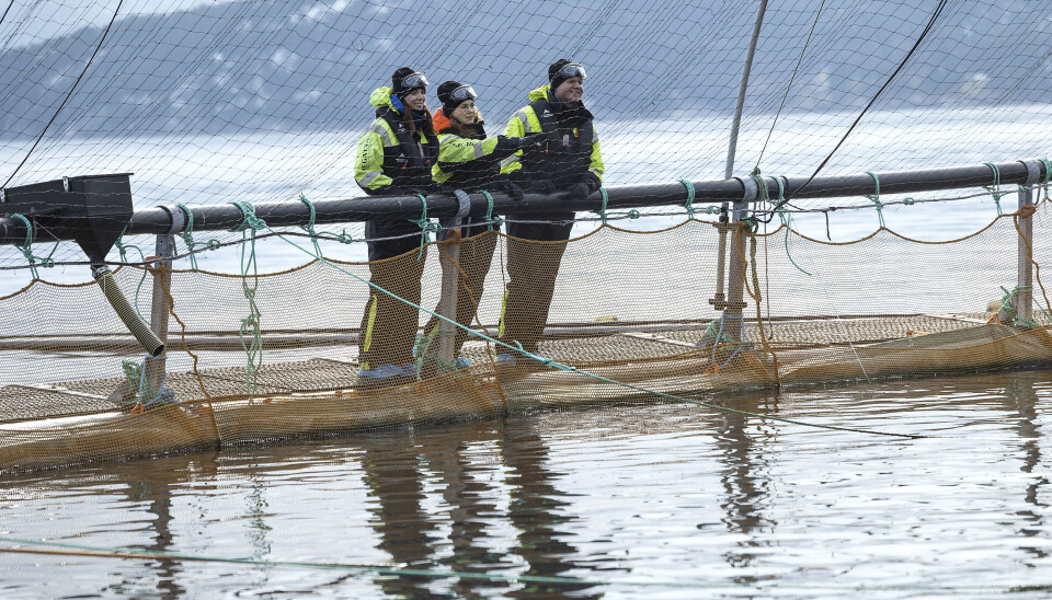 Over 800 nyutdannede jobbsøkere til sjømatnæringen