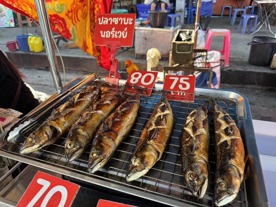 Norsk makrell på en utemarked i Cha-Am i Thailand. Også denne arten har blitt stadig mer populær i Thailand. 25-30 kroner for en hel ferdig grillet fisk er priser som mange thailendere har råd til.