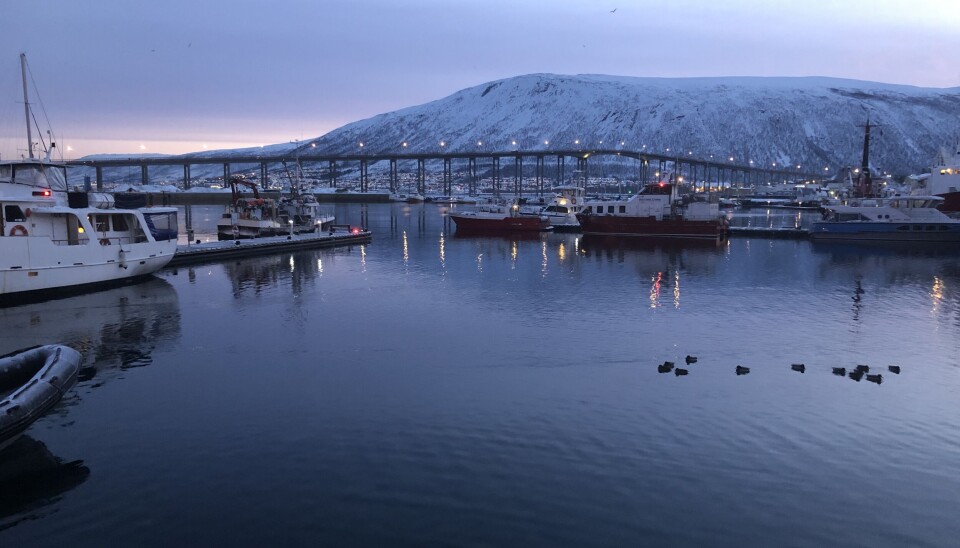 Norges Sjømatråd holder til i Tromsø.