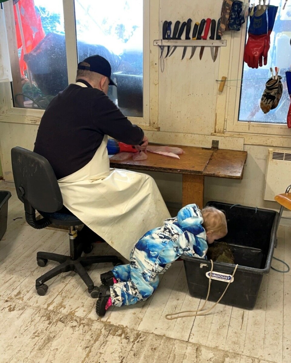 «Millea utforsker fiskene».
