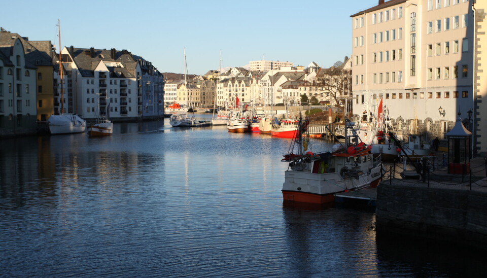 Skreifisket i Borgunfjorden utenfor Ålesund har lange tradisjoner for den lokale sjarkflåten.