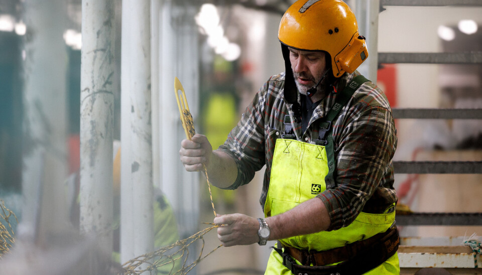 4. plass: «Networking».