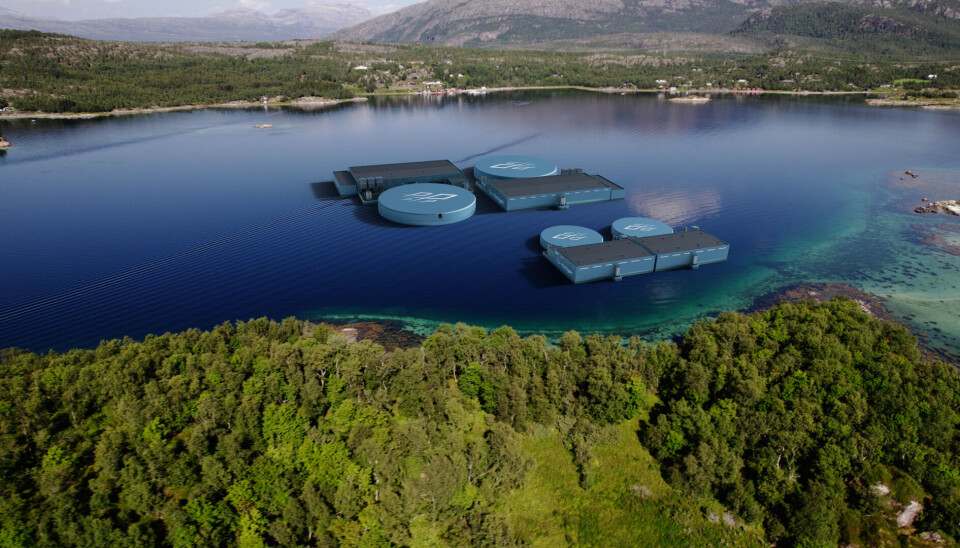 Slik ser Multigen Akva sine planer for torskeoppdrett i Vårfjorden ut.