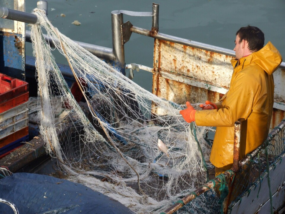 En del franske fartøyer lå i havn da de ikke kunne lønne mannskapet. Nå er de på havet igjen. Foto Terje Engø En del franske fartøyer lå i havn da de ikke kunne lønne mannskapet. Nå er de på havet igjen. Foto Terje Engø