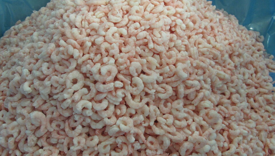 Pillede reker var et populært eksportprodukt i februar.