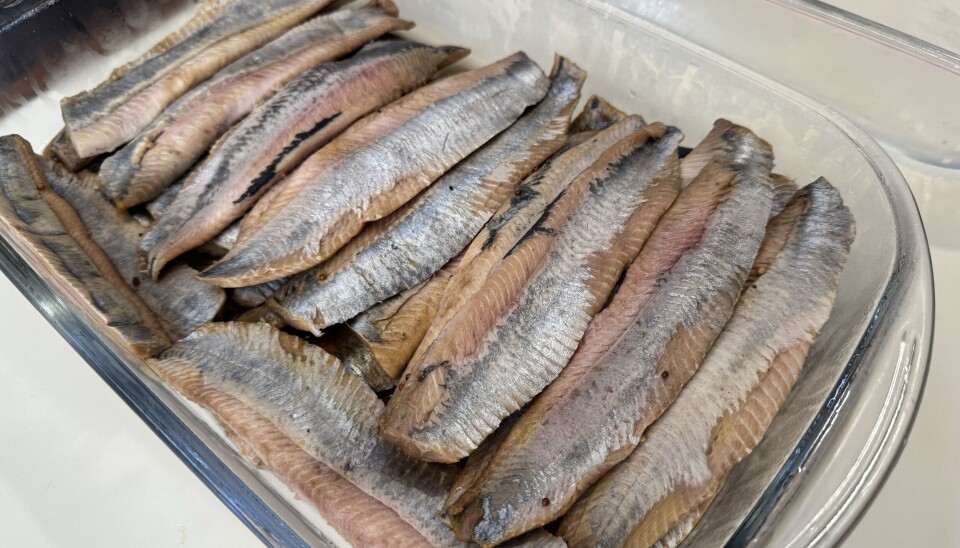 Norsk sild i Brasil, klar for marinering.