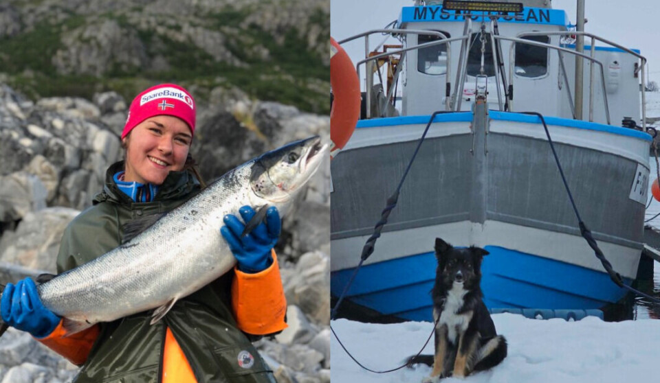 Disse fikk rekrutteringskvote tidligere i år.