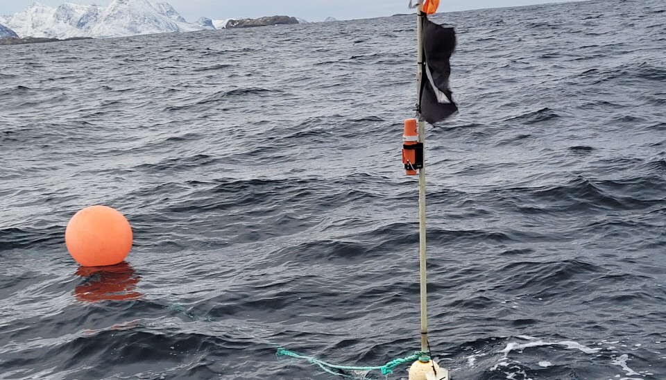 Jotron lanserer nytt lokasjonsprodukt for effektiv lokalisering av fiskeribruk.