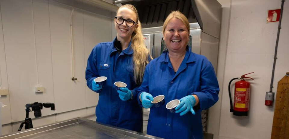 Forberedelser før sensorisk test av stekt slimål på laboriatoriet.