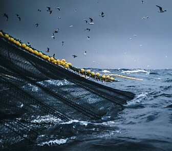 Kritisk til nye regler