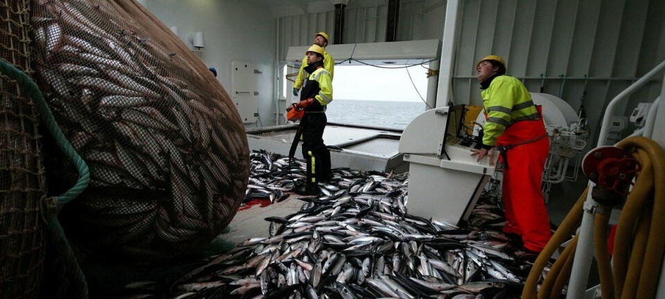 Dårlig vær preget uken som gikk