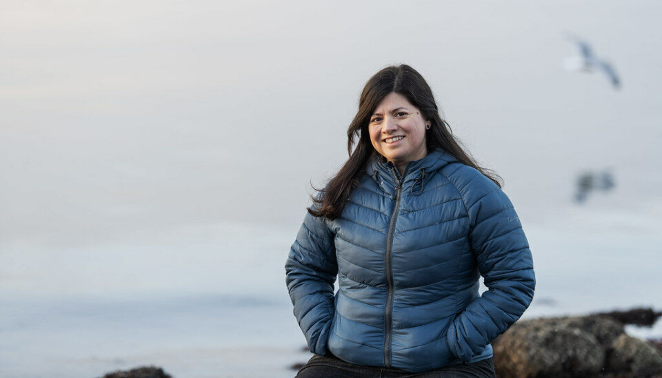 Karoline Andaur, WWF Verdens naturfond
