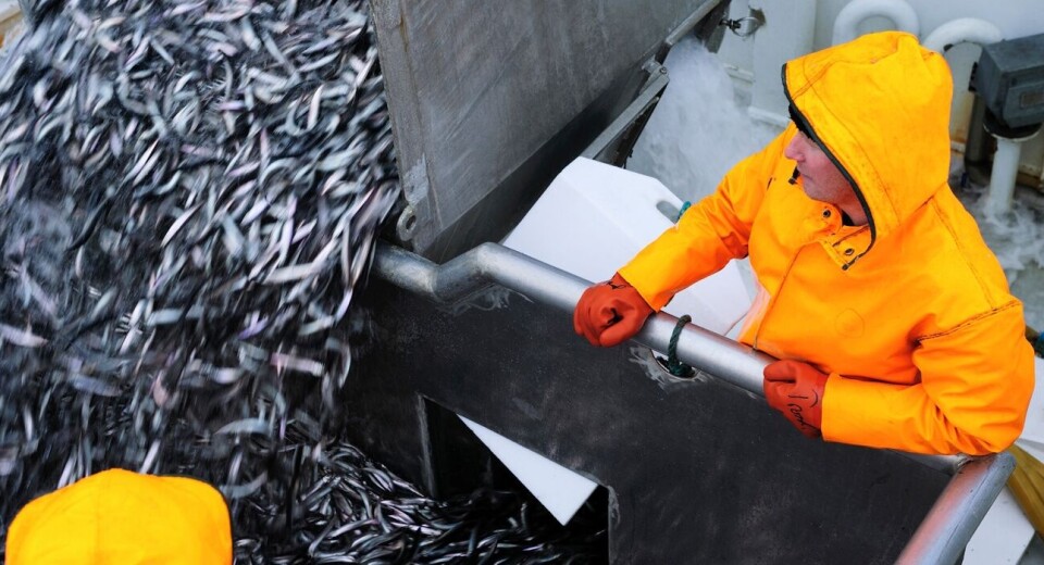 Nærings- og fiskeridepartementet mener det er en fordel om søkere til den statlige kontrollørjobben har kjennskap til fiskerinæringen.