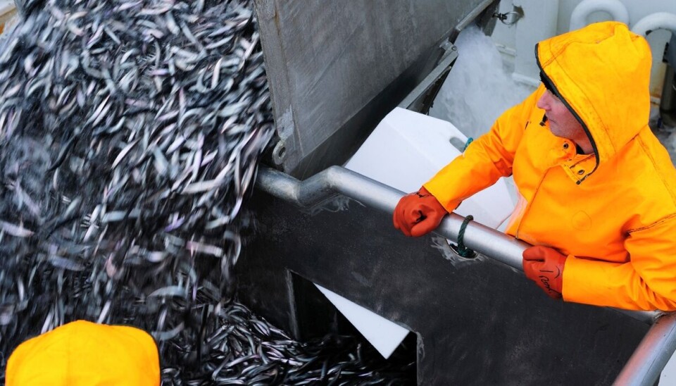 Nye veiledere gjør det enklere for fiskerinæringen å følge Åpenhetsloven.