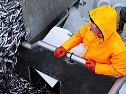 Vil ha søkere til statlig kontrollørjobb