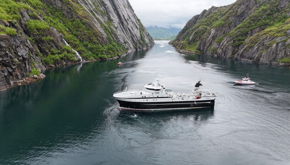 Holmøy-rederiets fabrikktråler «Langøy» i Vesterålen.