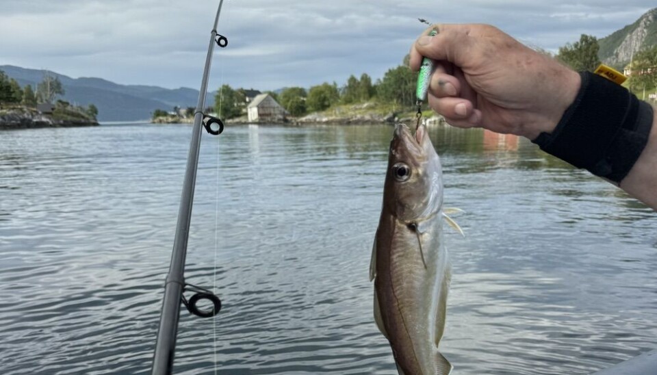 Det blir skjerpede regler både for turistfiskerne og turistfiskebedriftene.