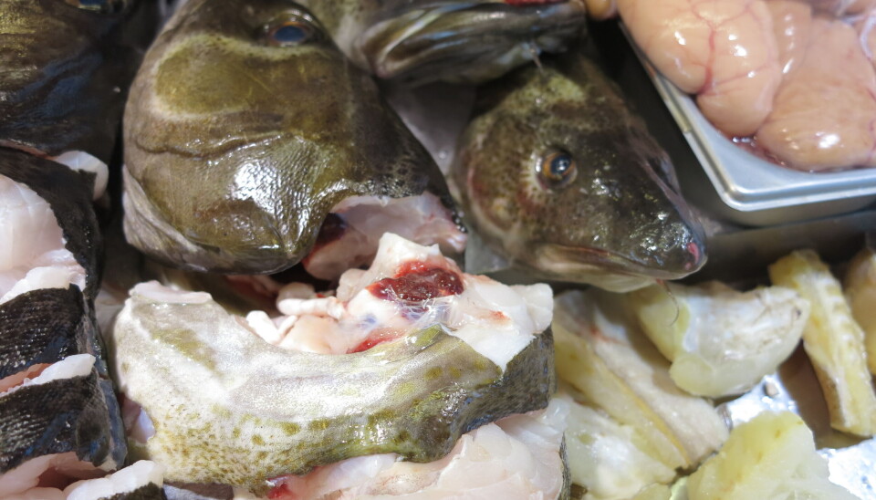 Skrei på marked i Valencia.
